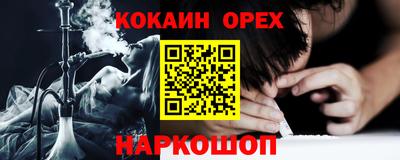стаф Гатчина