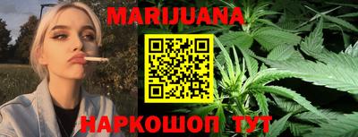 стаф Гатчина