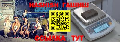 стаф Гатчина