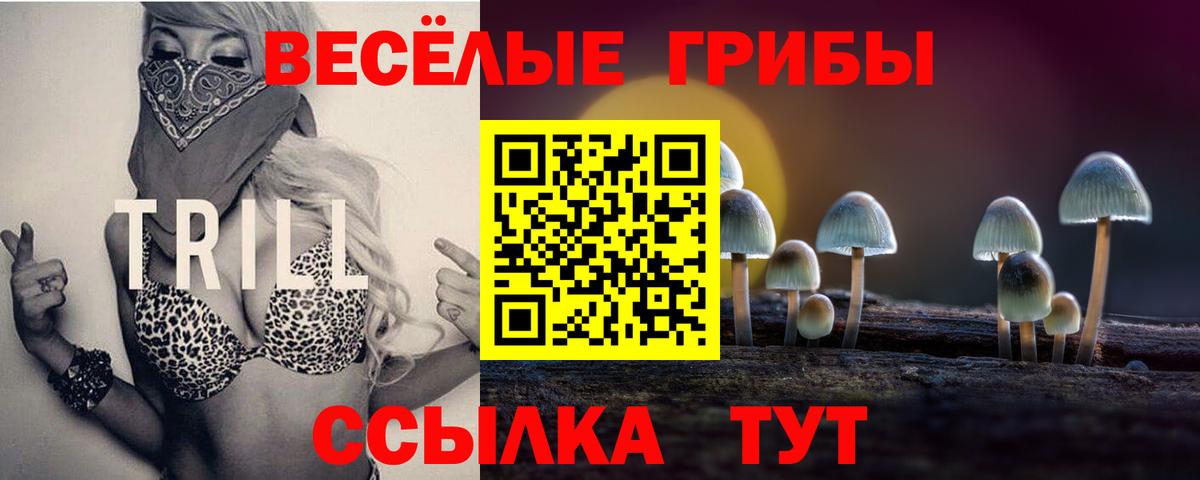Псилоцибиновые грибы MAGIC MUSHROOMS  Псилоцибиновые грибы мицелий  Ленинск-Кузнецкий  Вход с VPN 